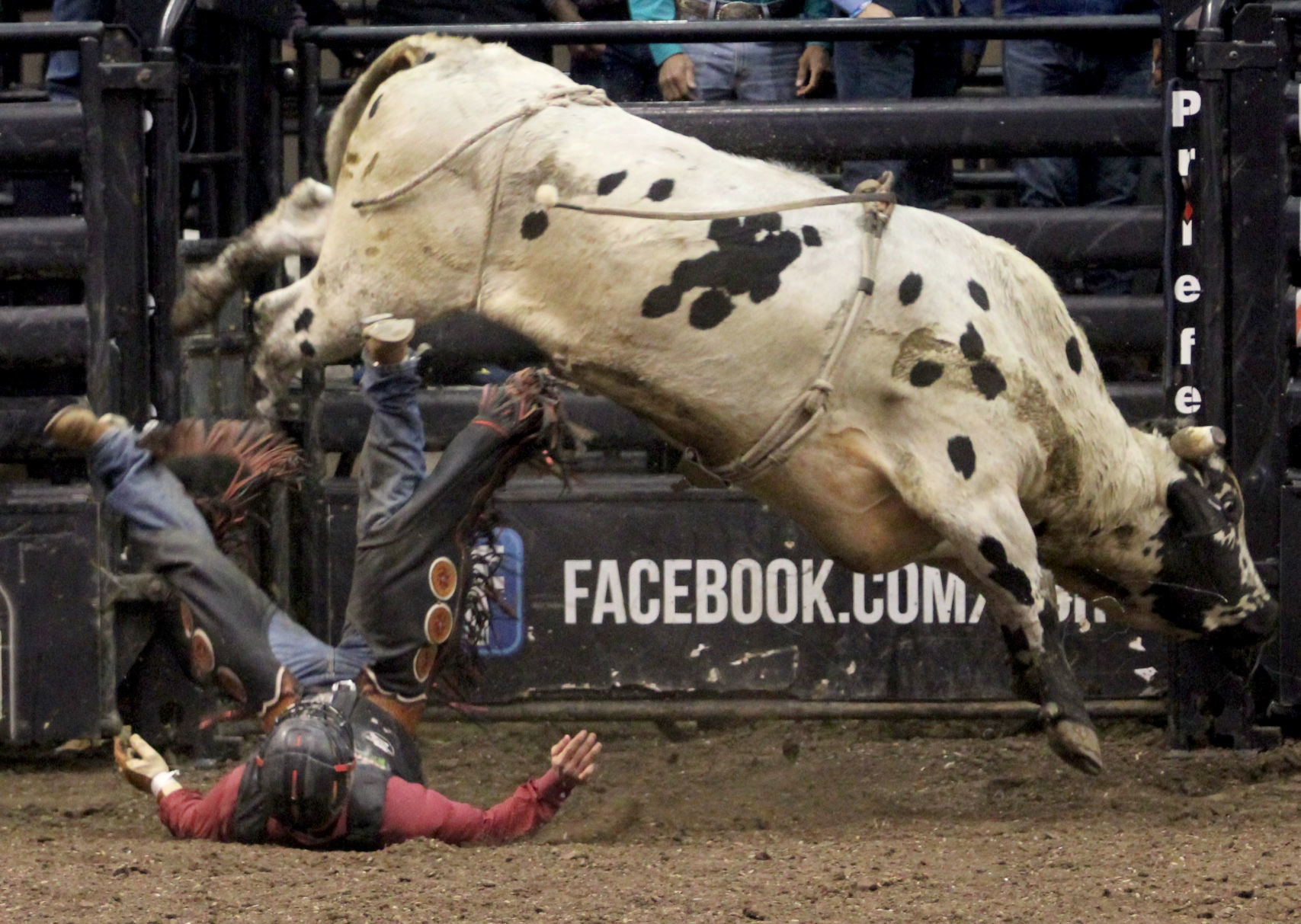 PBR 13.jpg